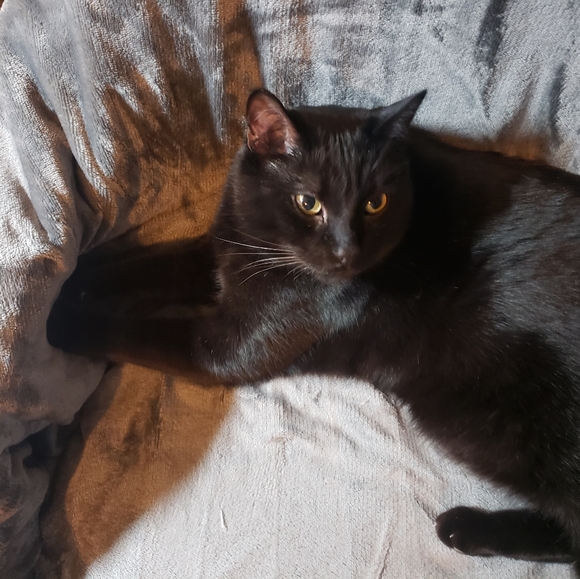 All kinds of great stuff! - Picture 2 of 4